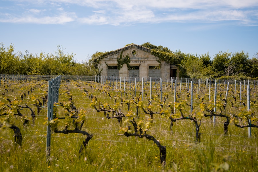 Village et vignobles de Saint-Émilion